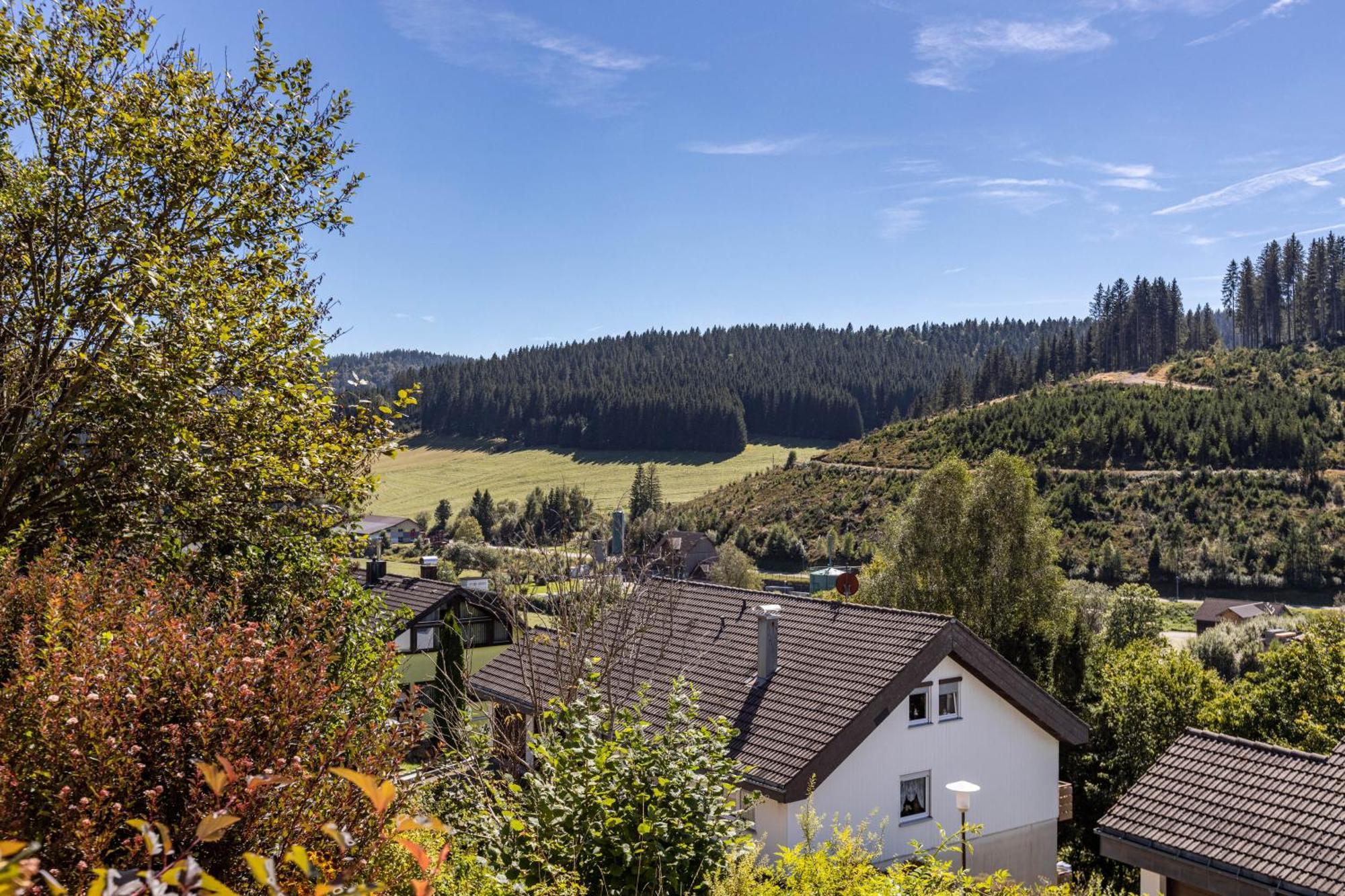 Regina Apartment Furtwangen
